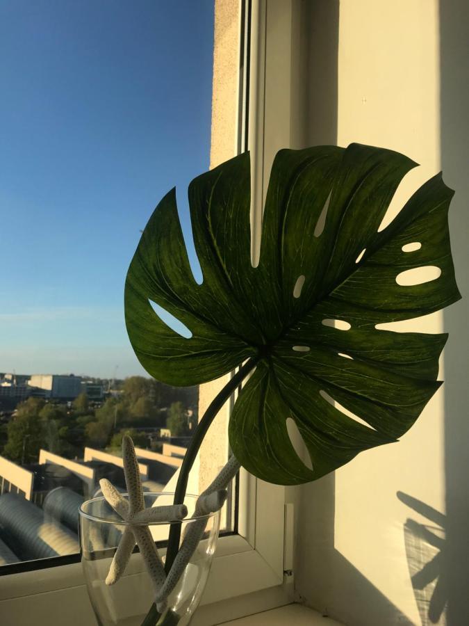 Good Morning Gdynia Apartment Luaran gambar